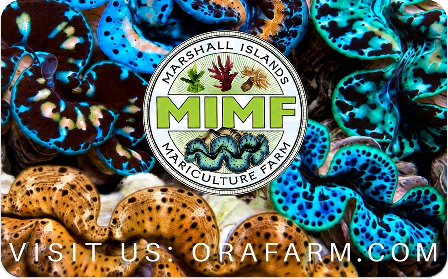 The MIMF Clam countermat shown flat: full-bleed photography of vivid blue, teal and gold Tridacna clams with the circular MIMF seal centered and the line Visit Us: orafarm.com across the foot