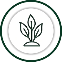 Plants and decor icon: a line drawing inside a green ring