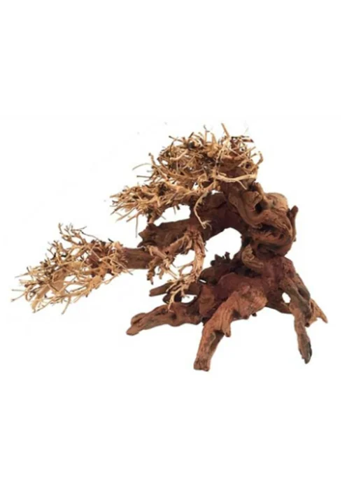 A piece of aquarium driftwood on white