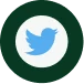 X icon