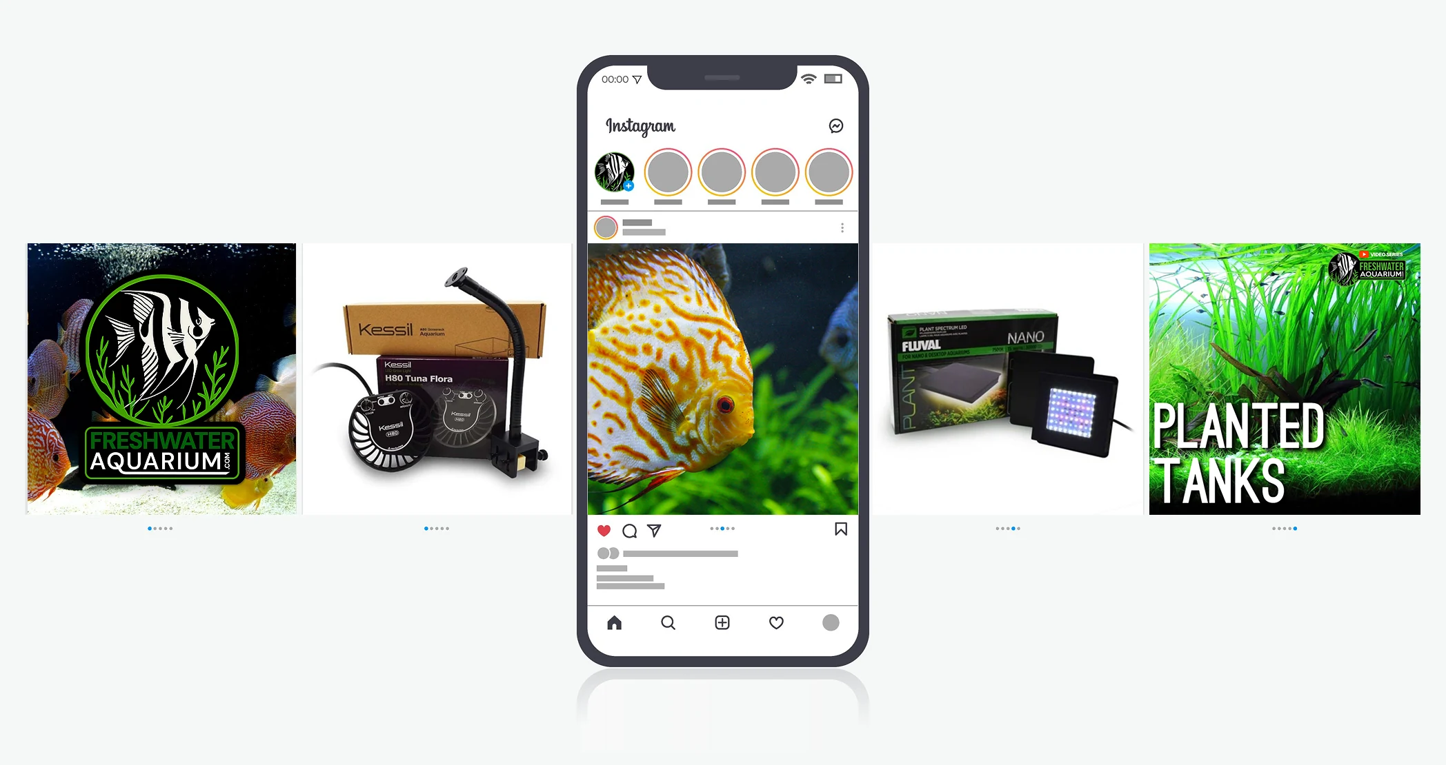 An Instagram profile mockup on a phone, flanked by four FreshwaterAquarium.com post tiles