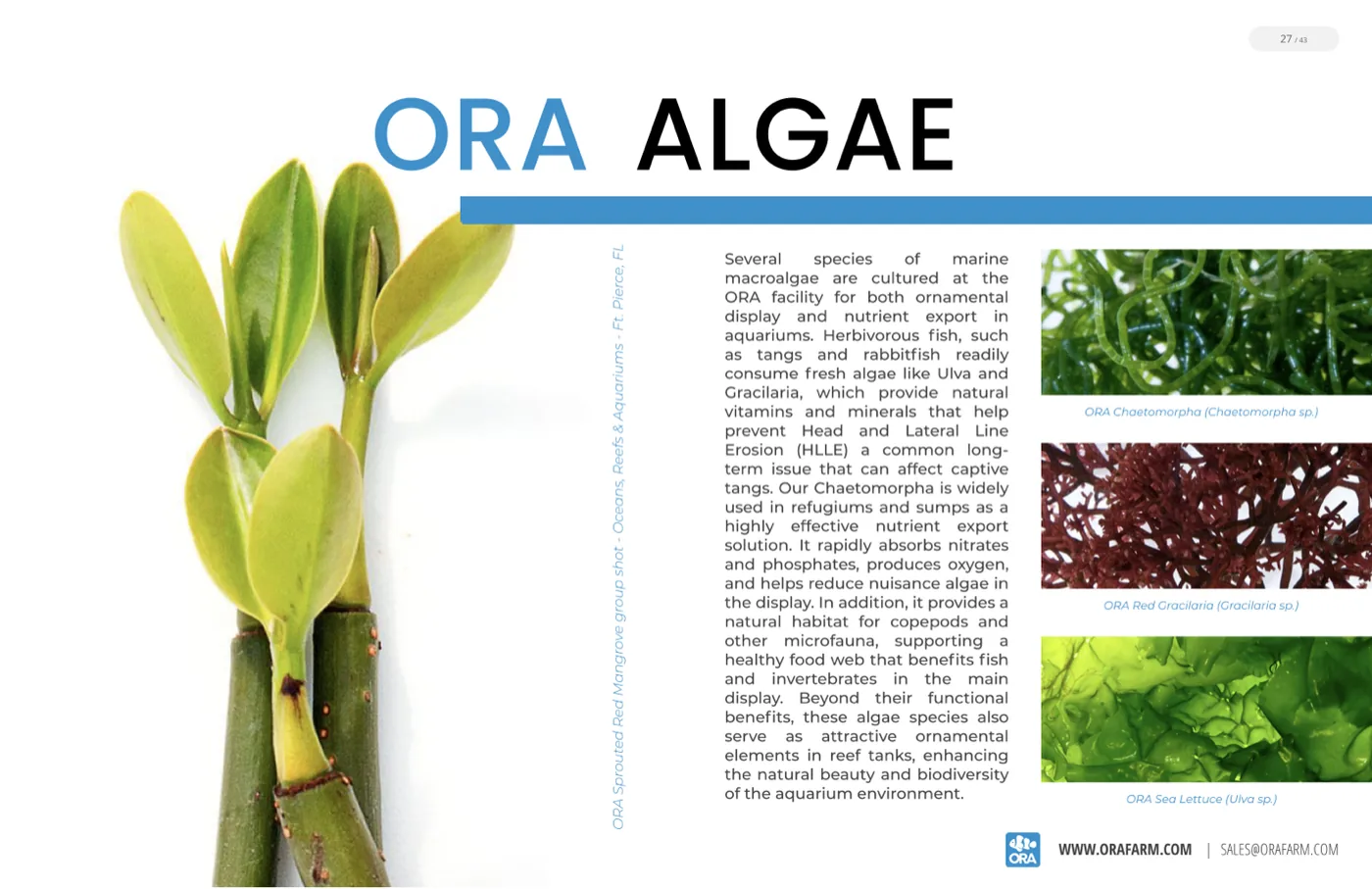 The ORA Algae and Plants spread