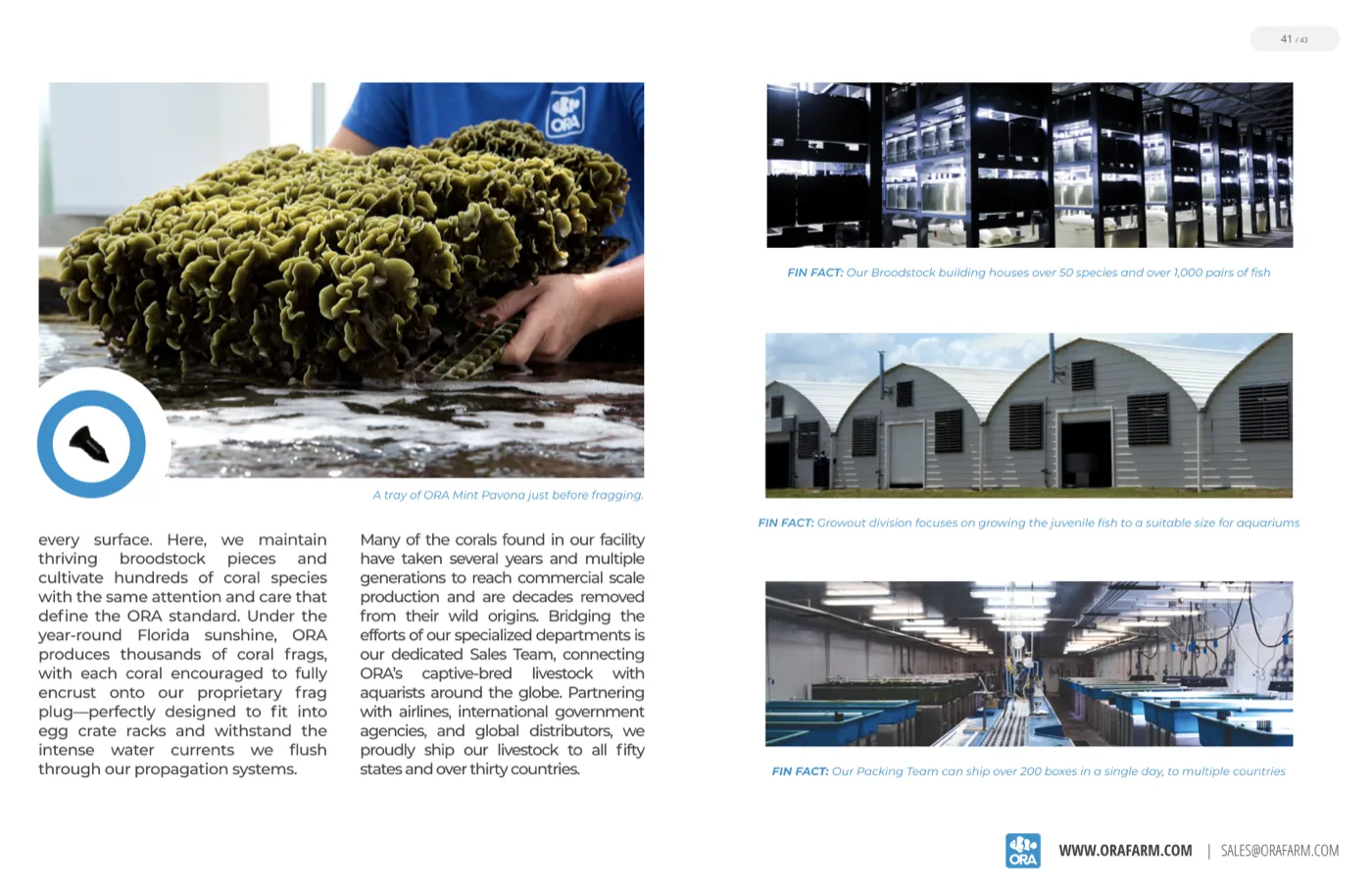 The Behind-the-Scenes feature article spread