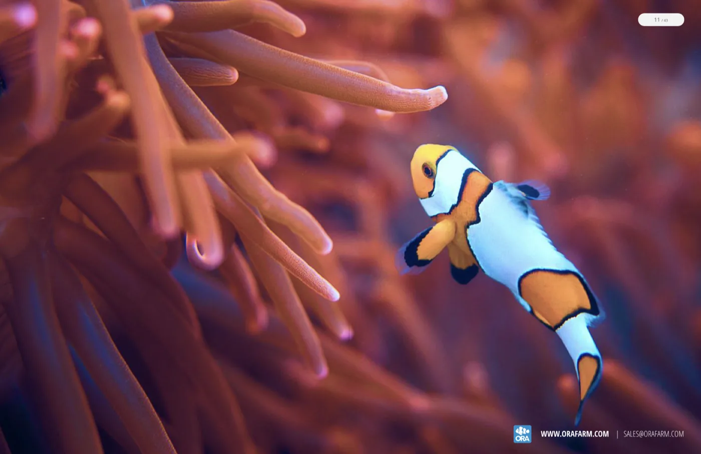 A full-bleed clownfish feature spread