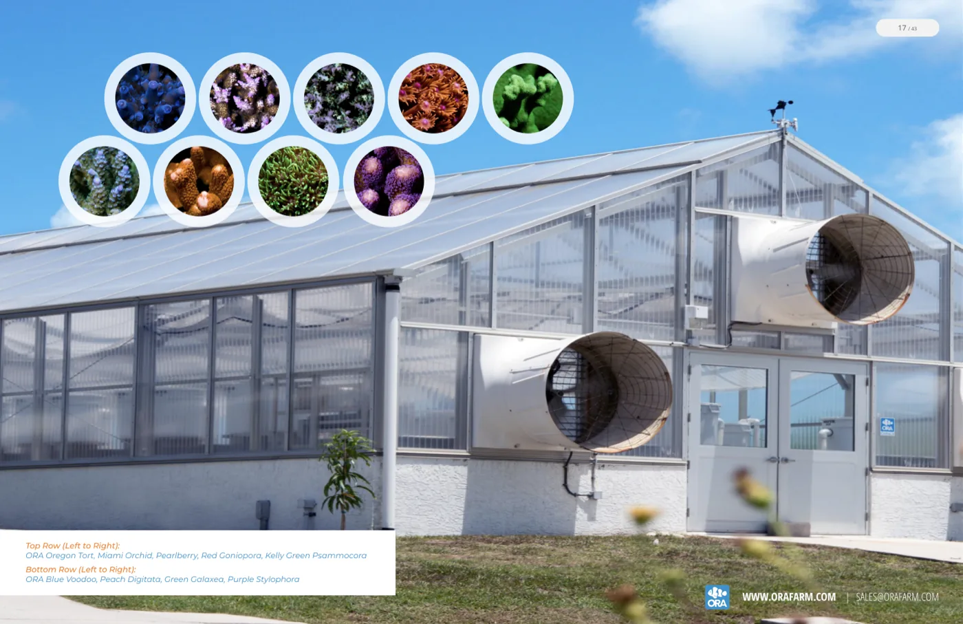 The ORA Greenhouse spread