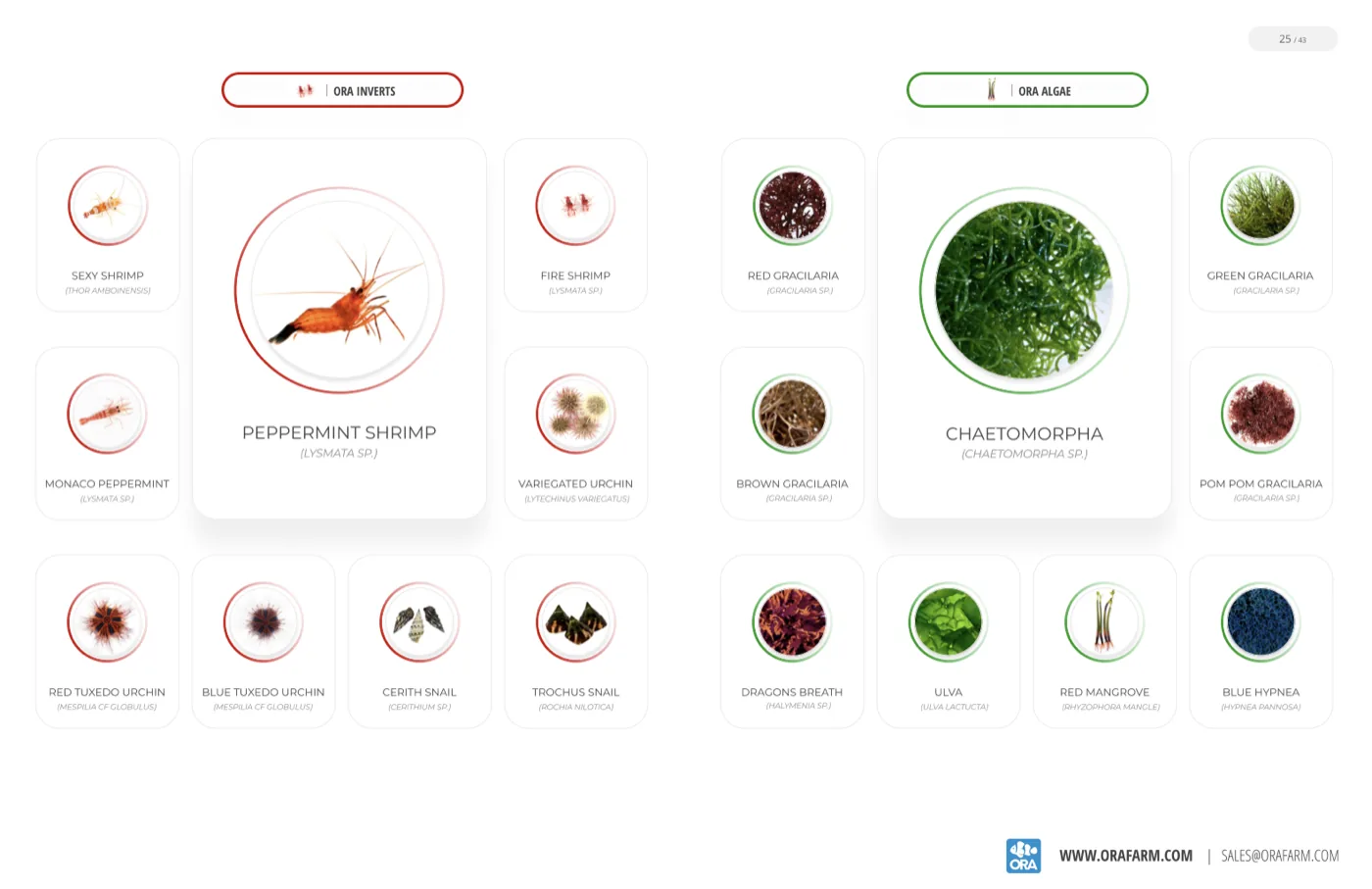 A product grid of ORA invertebrates and macroalgae