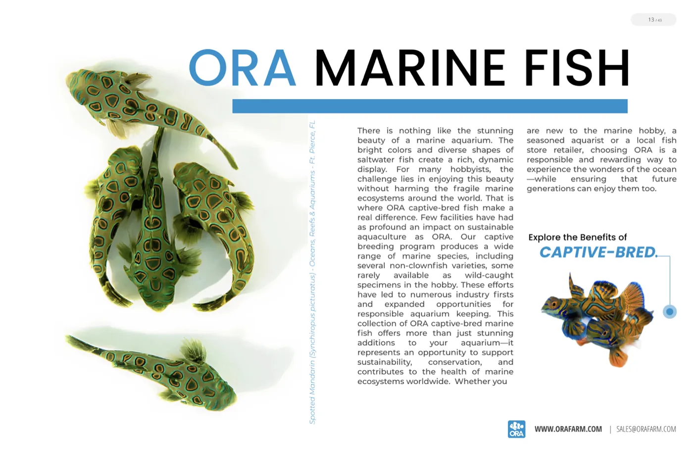 The ORA Marine Fish section opener