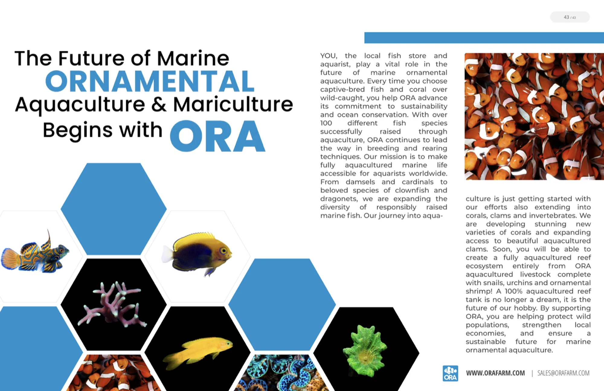 The Future of Aquaculture spread, with a hexagonal grid of ORA species over the headline The Future of Marine Ornamental Aquaculture and Mariculture Begins with ORA