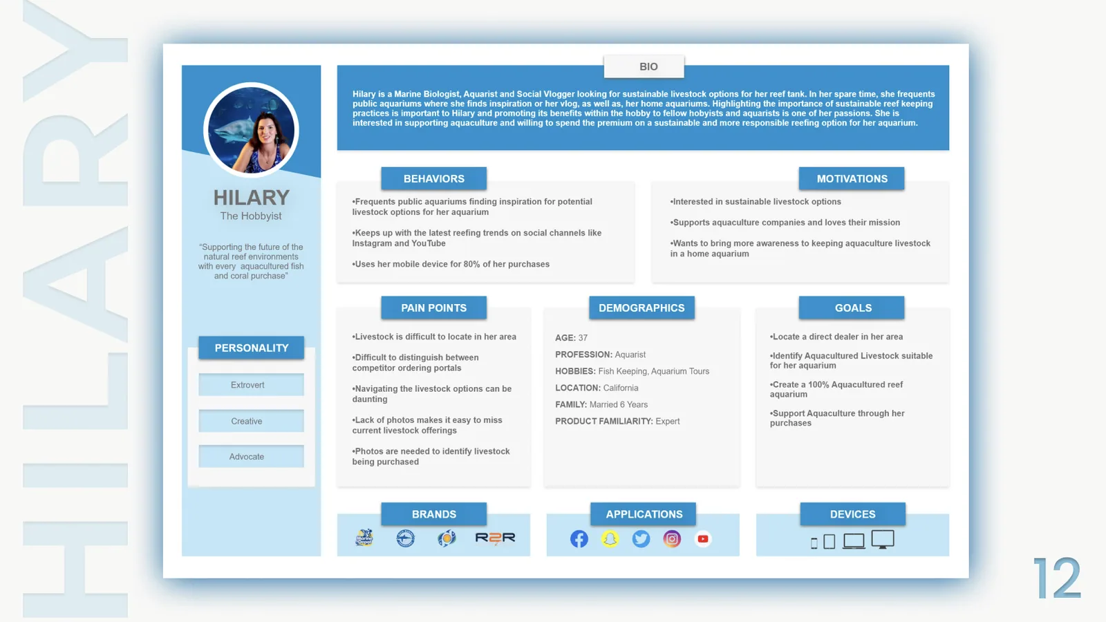 Persona board for Hilary, The Hobbyist, with bio, behaviors, motivations, pain points, demographics and goals