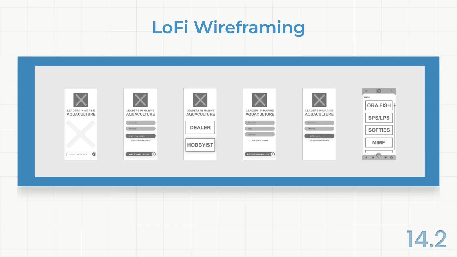 Six low-fidelity wireframes: splash, sign-in, user-type choice, sign-up, password reset and category browse