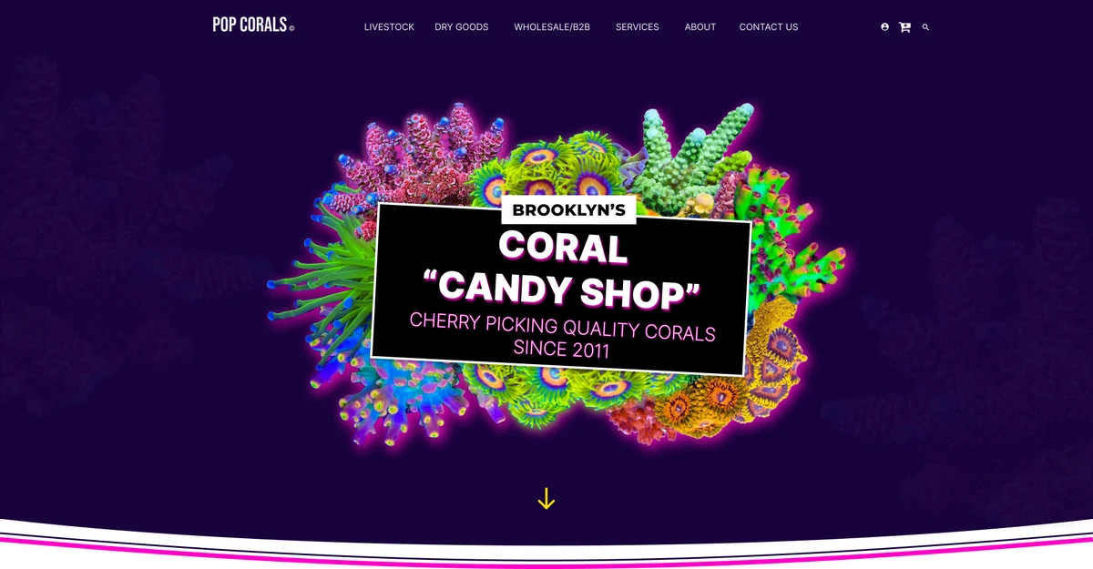 The redesigned banner: navigation on deep purple above a bouquet of neon corals with the Coral Candy Shop card