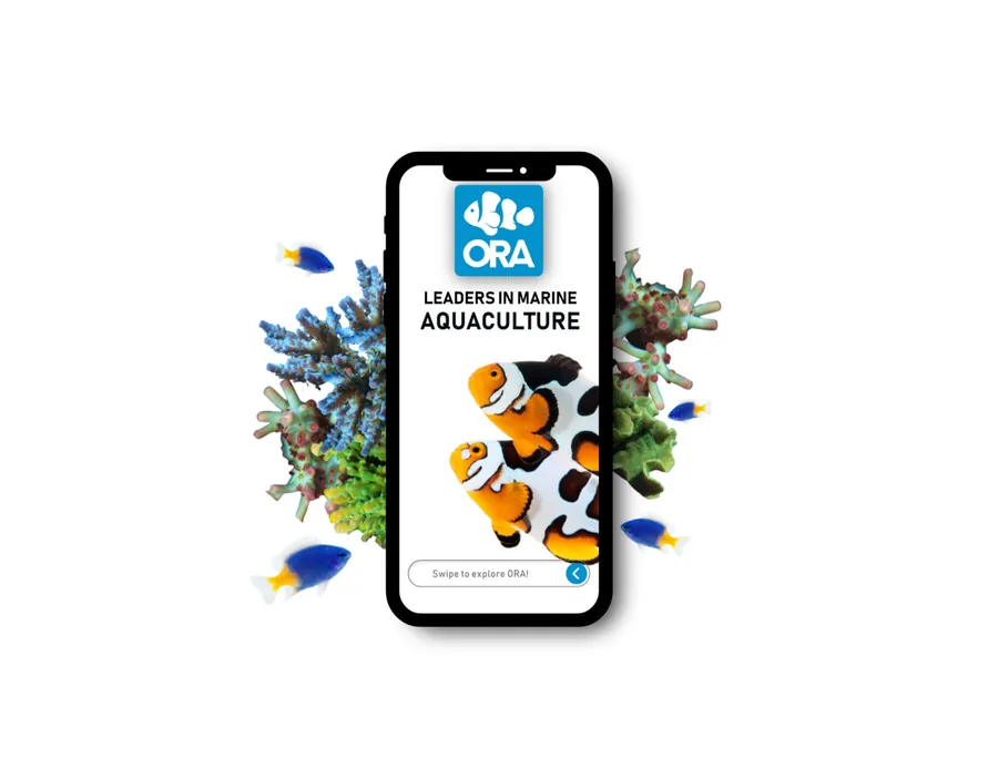 The ORA mobile site on a phone, headed Leaders In Marine Aquaculture, surrounded by corals and reef fish